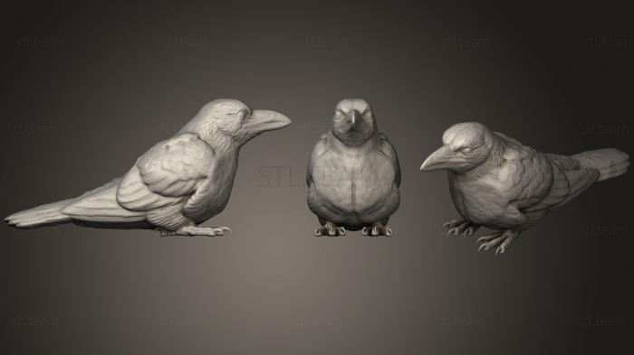 Статуэтки птицы Сидящая ворона